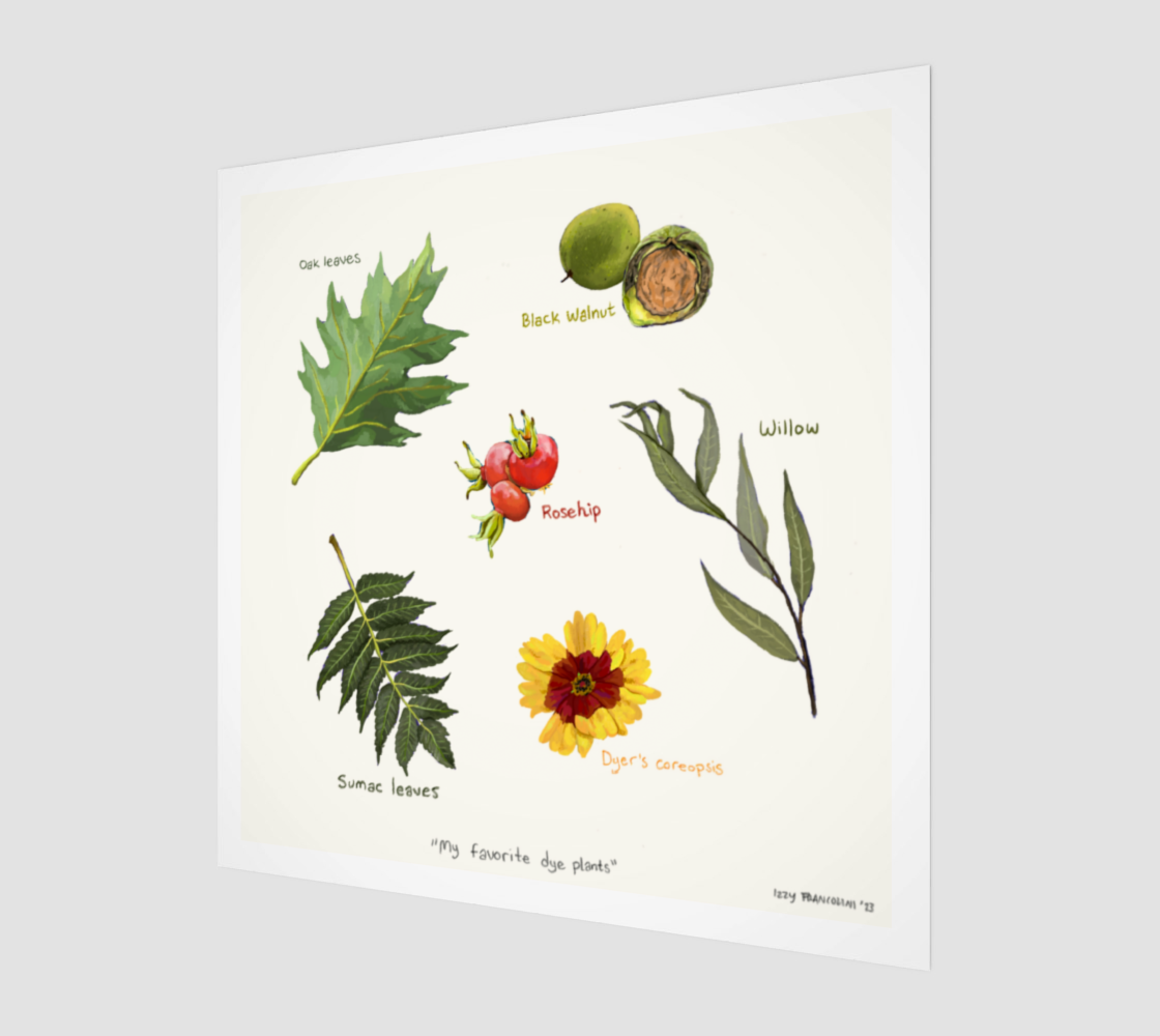 My Favorite Dye Plants