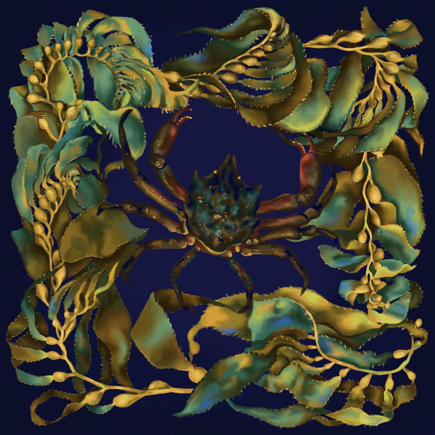 Kelp crab final