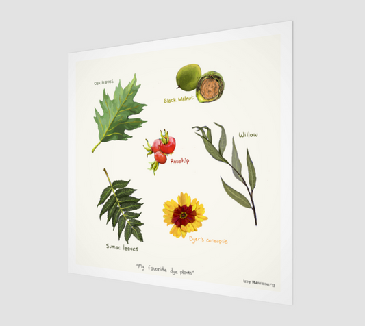 My Favorite Dye Plants