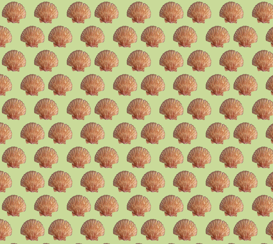 Scallops