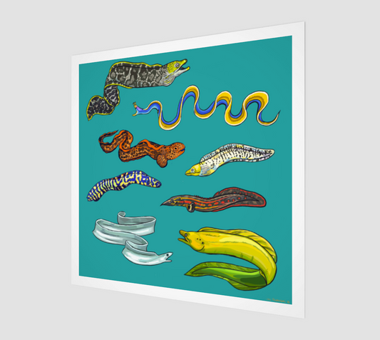 Eel Enthusiast