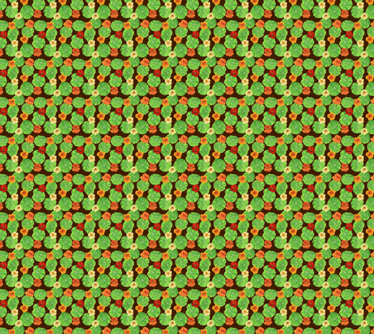 Nasturtium