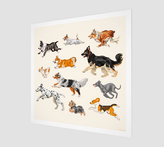 Dog Run