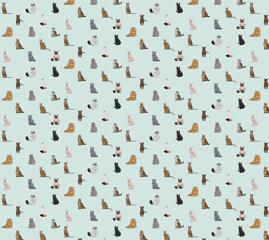 Nine Lives