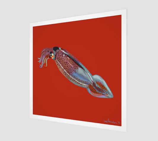 Squid no 1