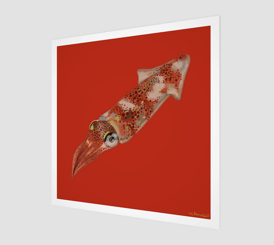 Squid no 2