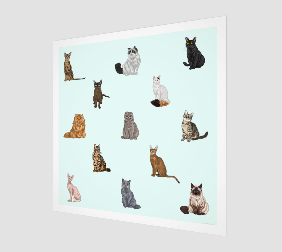 Nine Lives