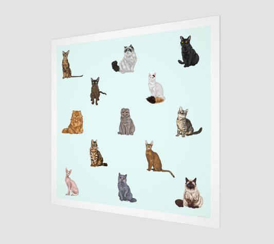 Nine Lives
