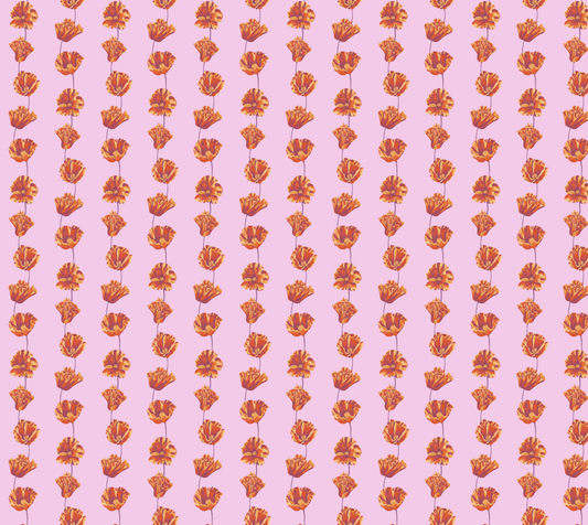 California Poppy
