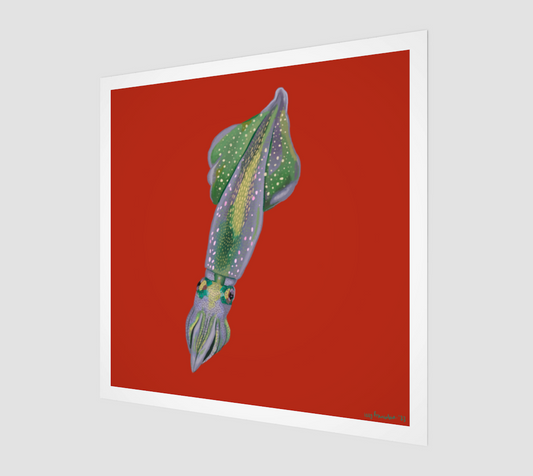 Squid no 3