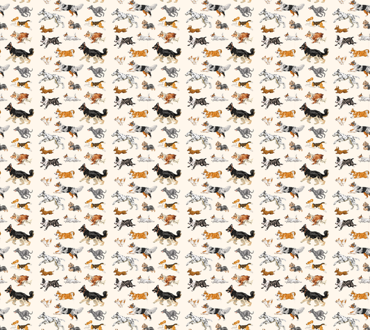 Dog Run